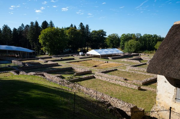 Quelles sont les meilleures recettes de plats au four sans matières grasses pour un repas minceur?