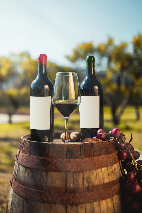 Découvrir le vin primeur 2023 à travers le Bordeaux primeur 2023